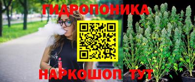 индика Комсомольск-на-Амуре