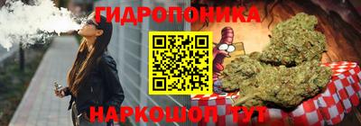 индика Комсомольск-на-Амуре