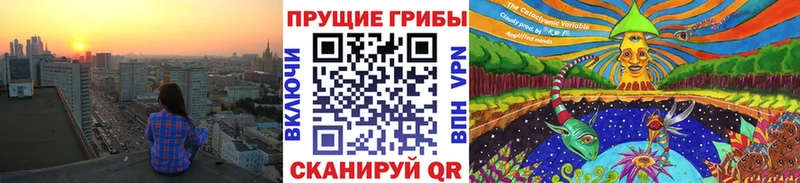 KRAKEN ТОР  Еманжелинск  Псилоцибиновые грибы Psilocybine cubensis 